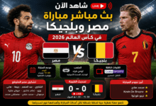 بث مباشر مباراة مصر وبلجيكا